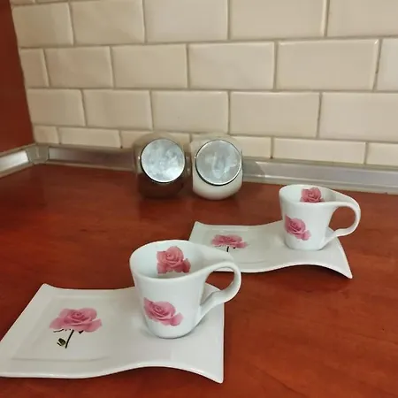 Rania's House Apartmán Soluň